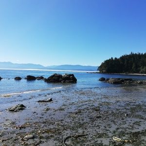 Meet your Posher, Alan